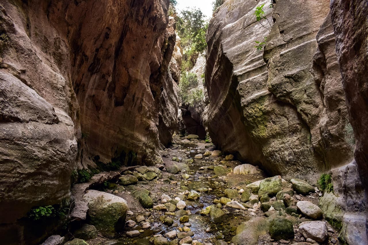 A narrow rocky gorge with a dry stream bed at Avakas Gorge in the Akamas